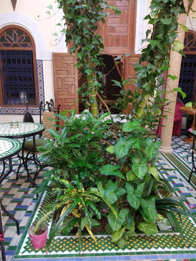 Riad Dar Zouhour 3*